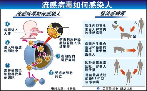 柏林联队球员集体感染流感，多名主力或将缺席